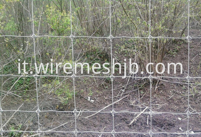 Galvanized Field Wire Fence